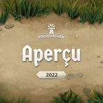 preview FR foundation 2022